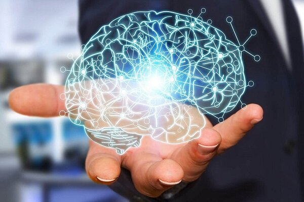 نماینده ایران در Brain Bee: مهسا علیزاده به مسابقات جهانی دانش مغز ۲۰۲۵ راه یافت