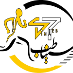 زندگی بدون درد، رویا نیست؛ نقشه راه درمان های غیرجراحی در شیراز تصویر 1