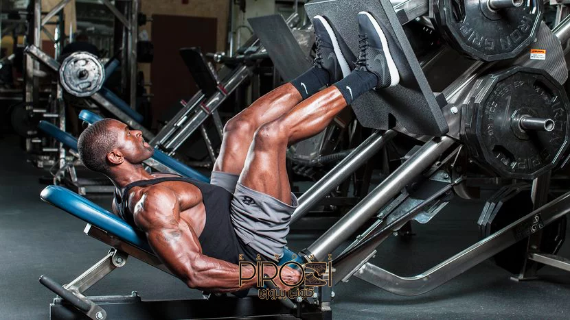 کتونی از کجای تهران بخرم؟ تصویر 1